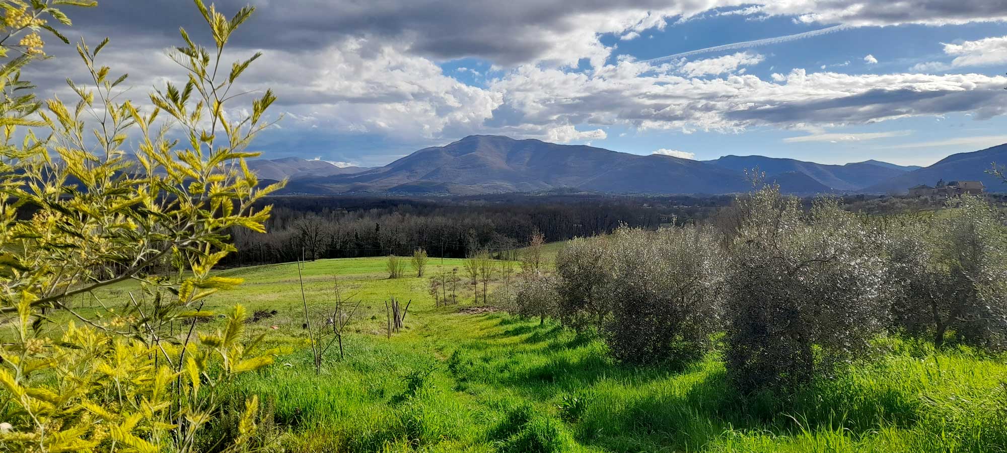 Paesaggio Ripi Res Ciociaria